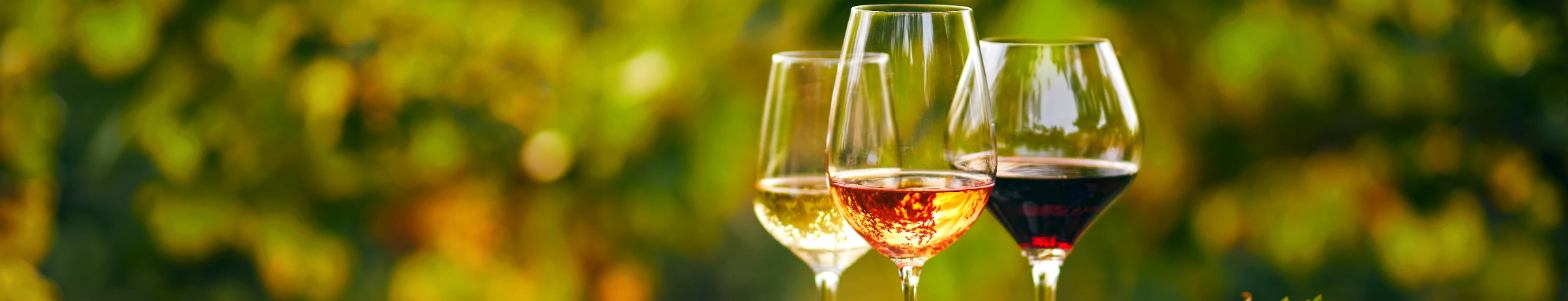 Image Gallery tec-nut.com for London Wine Merchant - New Website, Website Builder, easy website, Best Website Builder, Simple Website, Company Website, Free Website, Tec-Nut.com Websites, Easy Website, Wine shop, Fine wines, Wine store